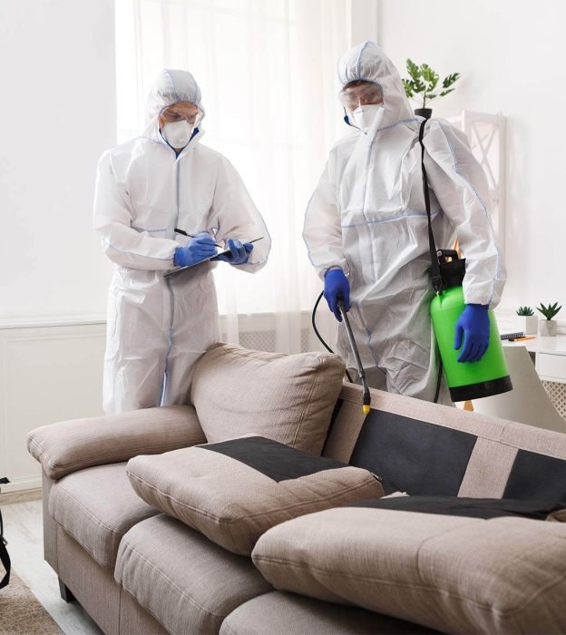 Rodent Removal and Control